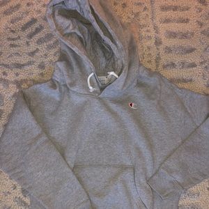 champion sweatshirt/hoodie